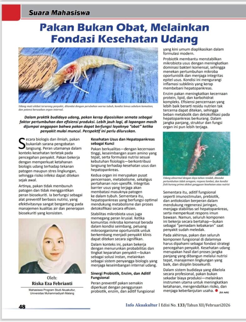 Meluruskan Mitos Pakan: Mahasiswa Akuakultur UMM Tekankan Pakan Sebagai Fondasi Kesehatan, Bukan Obat