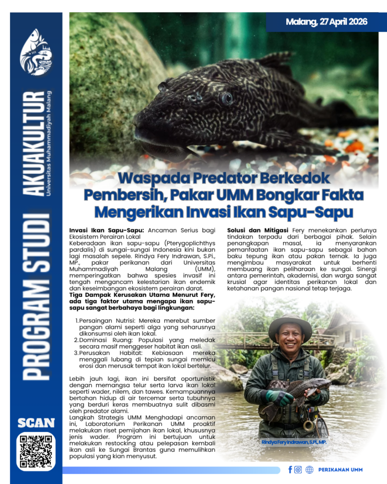 Waspada Invasi Ikan Sapu-Sapu: Ancaman bagi Ekosistem Sungai