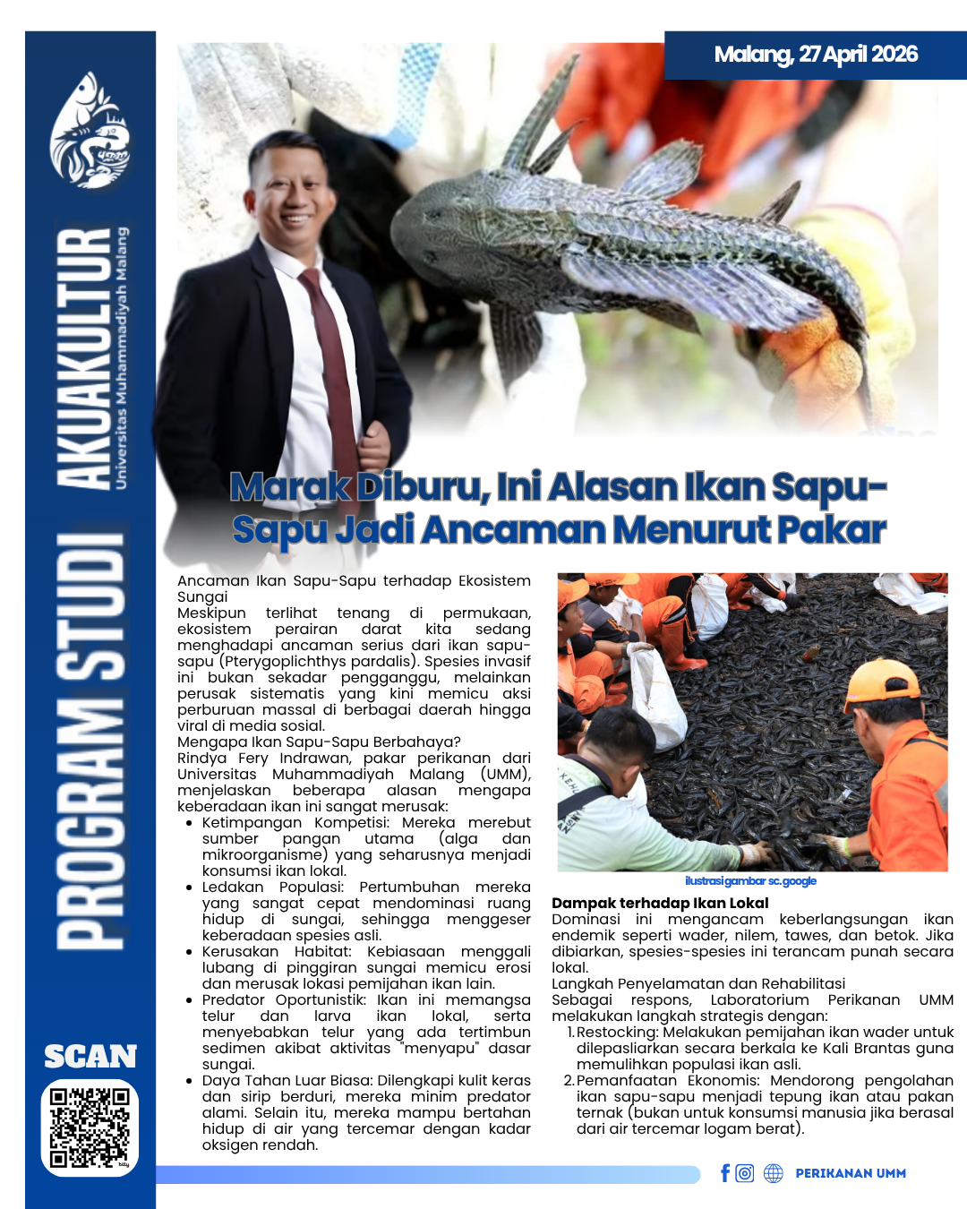 Marak Diburu: Mengapa Ikan Sapu-Sapu Menjadi Ancaman Serius?