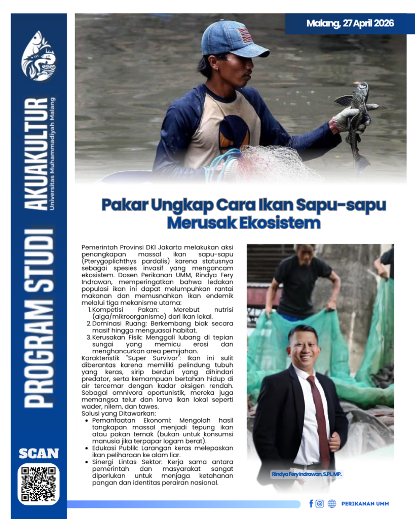 Pakar Ungkap Mekanisme Ikan Sapu-Sapu dalam Melumpuhkan Ekosistem