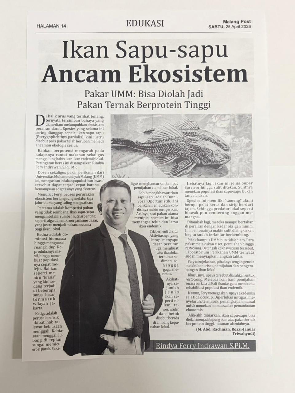 Ikan Sapu-Sapu Ancam Ekosistem: Pakar UMM Dorong Pemanfaatan Pakan Ternak Potensi kolapsnya rantai makanan di perairan darat Indonesia kini menjadi ancaman nyata akibat invasi ikan sapu-sapu (Pterygoplichthys pardalis). Pakar perikanan Universitas Muhammadiyah Malang (UMM), Rindya Ferry Indrawan, S.Pi., MP., menegaskan bahwa ikan yang awalnya dianggap sepele ini telah berubah menjadi ancaman ekologis yang serius karena kemampuan adaptasinya yang ekstrem. Tiga Jalur Perusakan Ekosistem Menurut Ferry, ikan sapu-sapu merusak keseimbangan alam melalui tiga cara utama: Kompetisi Pakan: Merebut nutrisi penting (alga dan mikroorganisme dasar) yang merupakan makanan utama ikan lokal. Dominasi Biomassa: Reproduksi yang masif memungkinkan mereka menguasai ruang hidup dengan sangat cepat. Kerusakan Fisik: Kebiasaan menggali lubang di tepian sungai memicu erosi parah dan menghancurkan tempat pemijahan alami ikan lokal. Karakter "Super Survivor" Ikan ini sangat sulit ditekan populasinya karena memiliki perlindungan alami berupa kulit keras dan sirip berduri tajam, sehingga predator seperti biawak pun enggan memangsanya. Selain itu, mereka mampu bertahan di air dengan kadar oksigen minimal dan bersifat omnivora oportunistik—saat pakan utama habis, mereka akan memangsa telur dan larva ikan lokal seperti nilem, tawes, wader, dan betok. Langkah Taktis dan Solusi Ekonomis Laboratorium Perikanan UMM telah mengambil langkah nyata melalui riset pemijahan dan restocking ikan lokal secara berkala di Kali Brantas. Namun, upaya akademisi saja tidak cukup. Ferry menyarankan solusi komprehensif berupa: Penangkapan Massal: Untuk menekan lonjakan biomassa di sungai. Pemanfaatan Ekonomis: Mengolah ikan sapu-sapu menjadi pakan ternak berprotein tinggi, sehingga keberadaannya tidak lagi dibiarkan merusak, melainkan memberikan nilai tambah bagi masyarakat.