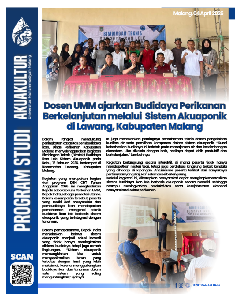 Dalam rangka mendukung peningkatan kapasitas pembudidaya ikan, Dinas Perikanan Kabupaten Malang menyelenggarakan kegiatan Bimbingan Teknis (Bimtek) Budidaya Ikan Lele Sistem Akuaponik pada Rabu, 12 Februari 2026, bertempat di Kecamatan Lawang, Kabupaten Malang. Kegiatan yang merupakan bagian dari program DBH CHT Tahun Anggaran 2026 ini menghadirkan Kepala Laboratorium Perikanan UMM, Bapak Indra, sebagai pemateri utama. Dalam kesempatan tersebut, peserta yang terdiri dari masyarakat dan pembudidaya ikan mendapatkan pemahaman mengenai teknik budidaya ikan lele berbasis sistem akuaponik yang terintegrasi dengan tanaman. Dalam pemaparannya, Bapak Indra menjelaskan bahwa sistem akuaponik menjadi solusi inovatif yang tidak hanya meningkatkan efisiensi budidaya, tetapi juga ramah lingkungan. “Sistem akuaponik memungkinkan kita untuk mengoptimalkan lahan yang terbatas dengan hasil yang lebih maksimal, karena menggabungkan budidaya ikan dan tanaman dalam satu sistem yang saling menguntungkan,” ujarnya. Ia juga menekankan pentingnya pemahaman teknis dalam pengelolaan kualitas air serta pemilihan komponen dalam sistem akuaponik. “Kunci keberhasilan budidaya ini terletak pada manajemen air dan keseimbangan ekosistem. Jika dikelola dengan baik, hasilnya dapat lebih produktif dan berkelanjutan,” tambahnya. Kegiatan berlangsung secara interaktif, di mana peserta tidak hanya mendapatkan materi teori, tetapi juga berdiskusi langsung terkait kendala yang dihadapi di lapangan. Antusiasme peserta terlihat dari banyaknya pertanyaan yang diajukan selama sesi berlangsung. Melalui kegiatan ini, diharapkan masyarakat dapat mengimplementasikan sistem budidaya ikan lele berbasis akuaponik secara mandiri, sehingga mampu meningkatkan produktivitas serta kesejahteraan ekonomi masyarakat di sektor perikanan.